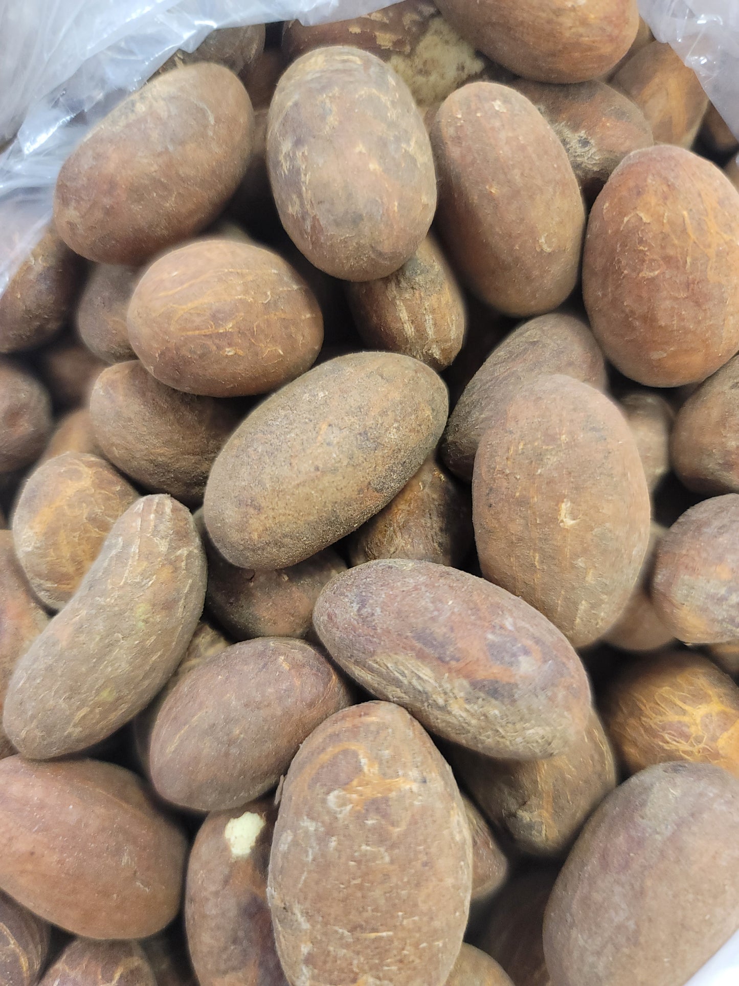 Bitter Kola (Orogbo) 4pcs