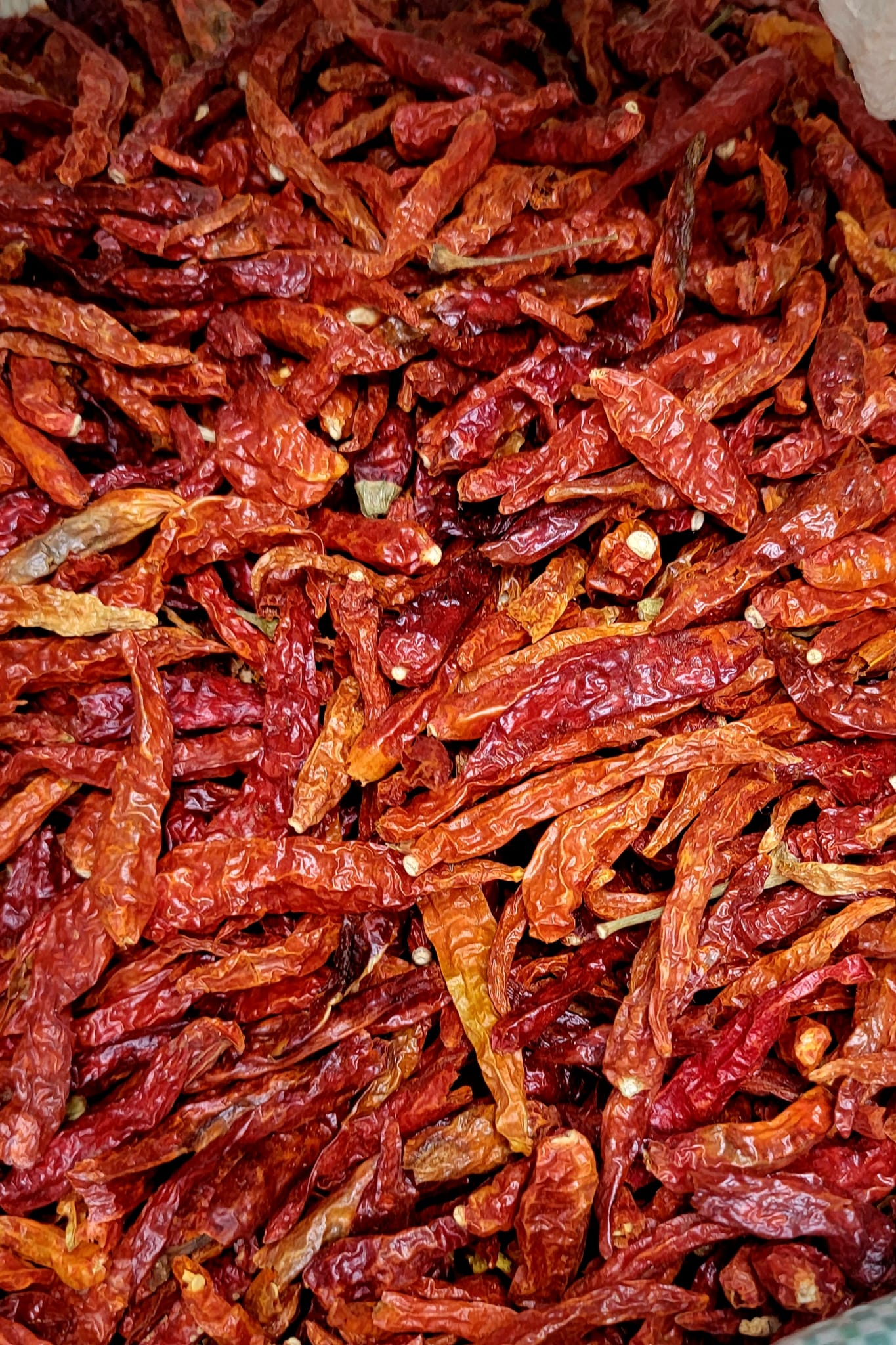 Dried Shombo