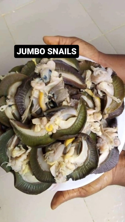 Jumbo sanils