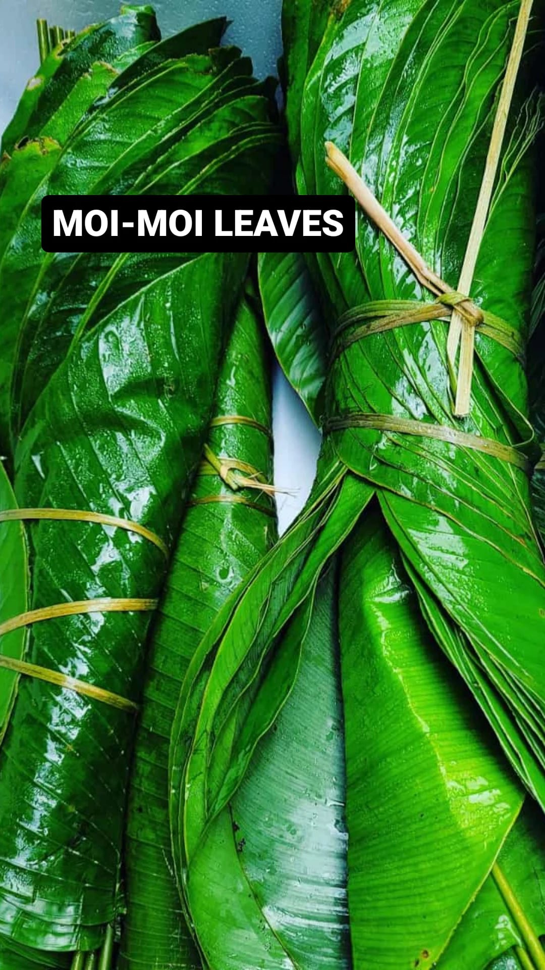 Moi-moi leaves